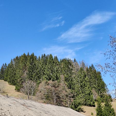 Berggasthaus Prager Boden Тодтнау Екстер'єр фото