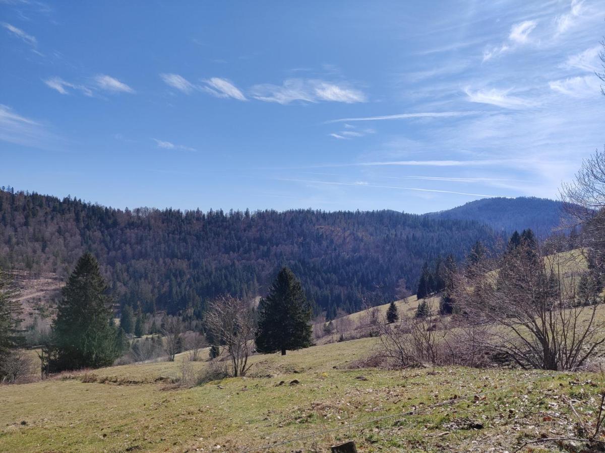 Berggasthaus Prager Boden Тодтнау Екстер'єр фото