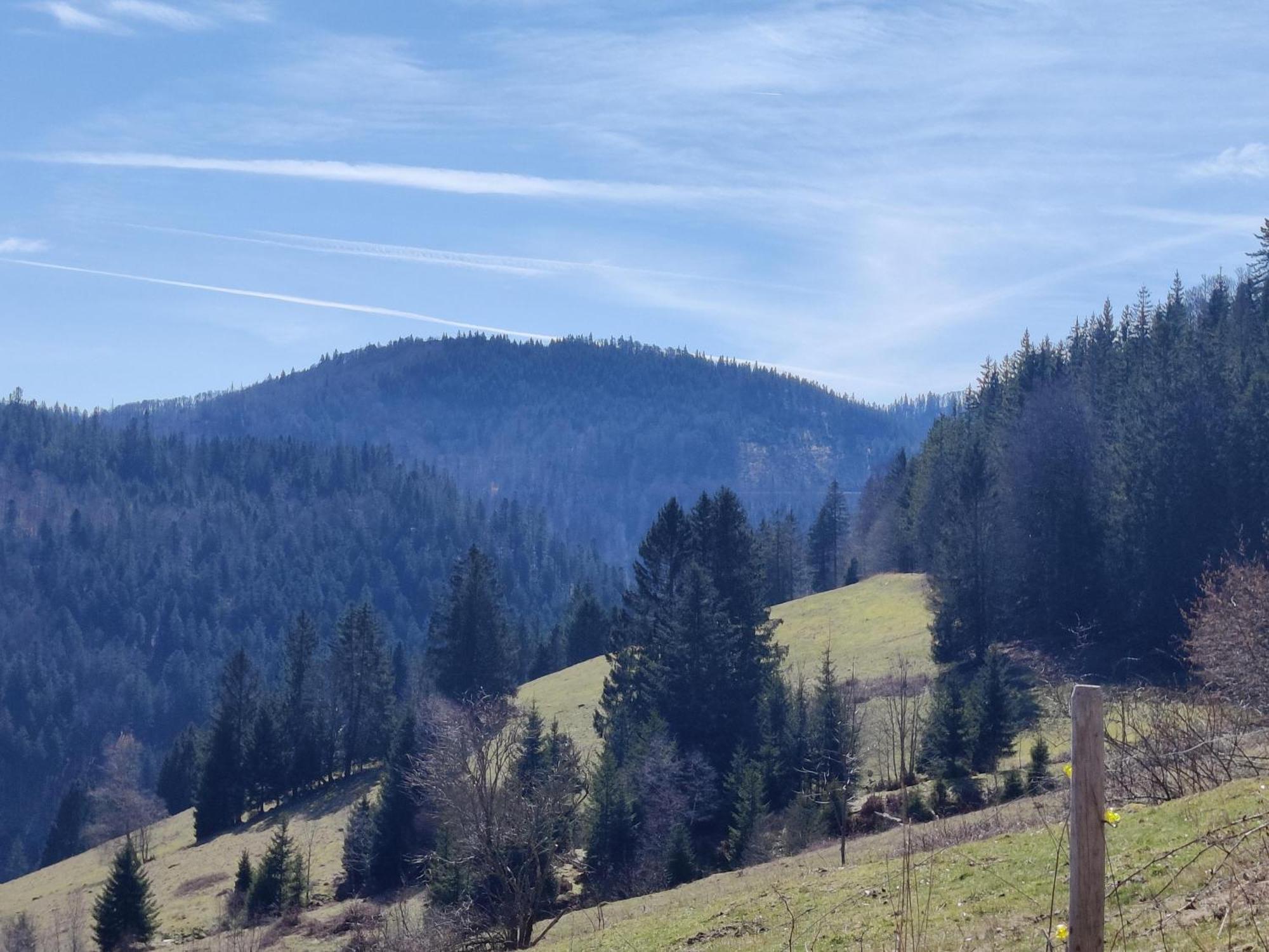 Berggasthaus Prager Boden Тодтнау Екстер'єр фото