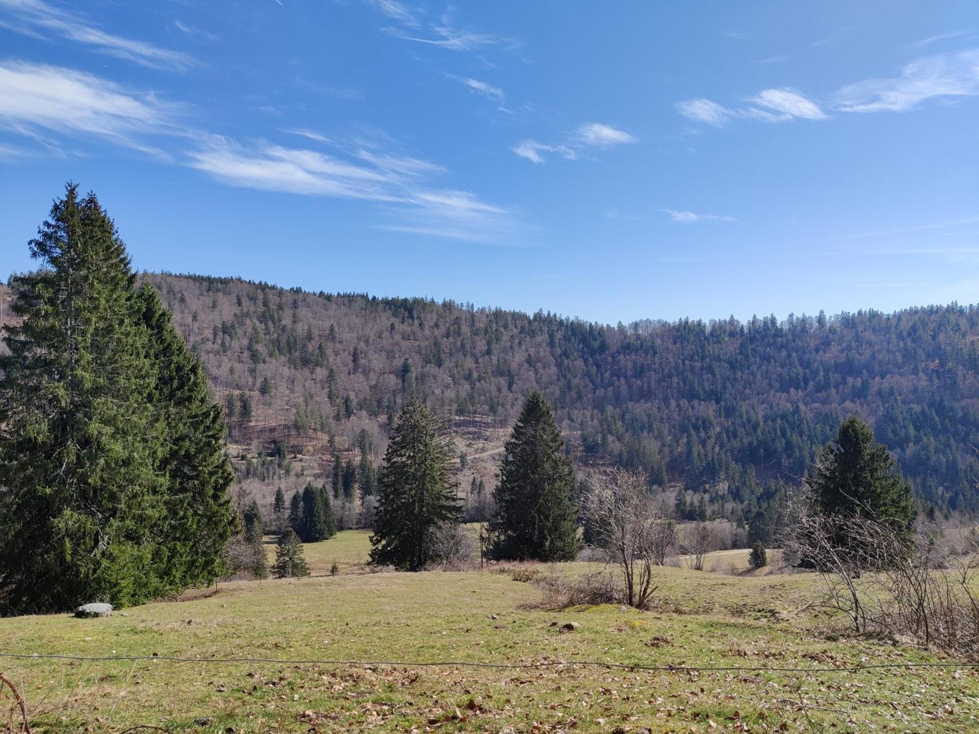 Berggasthaus Prager Boden Тодтнау Екстер'єр фото