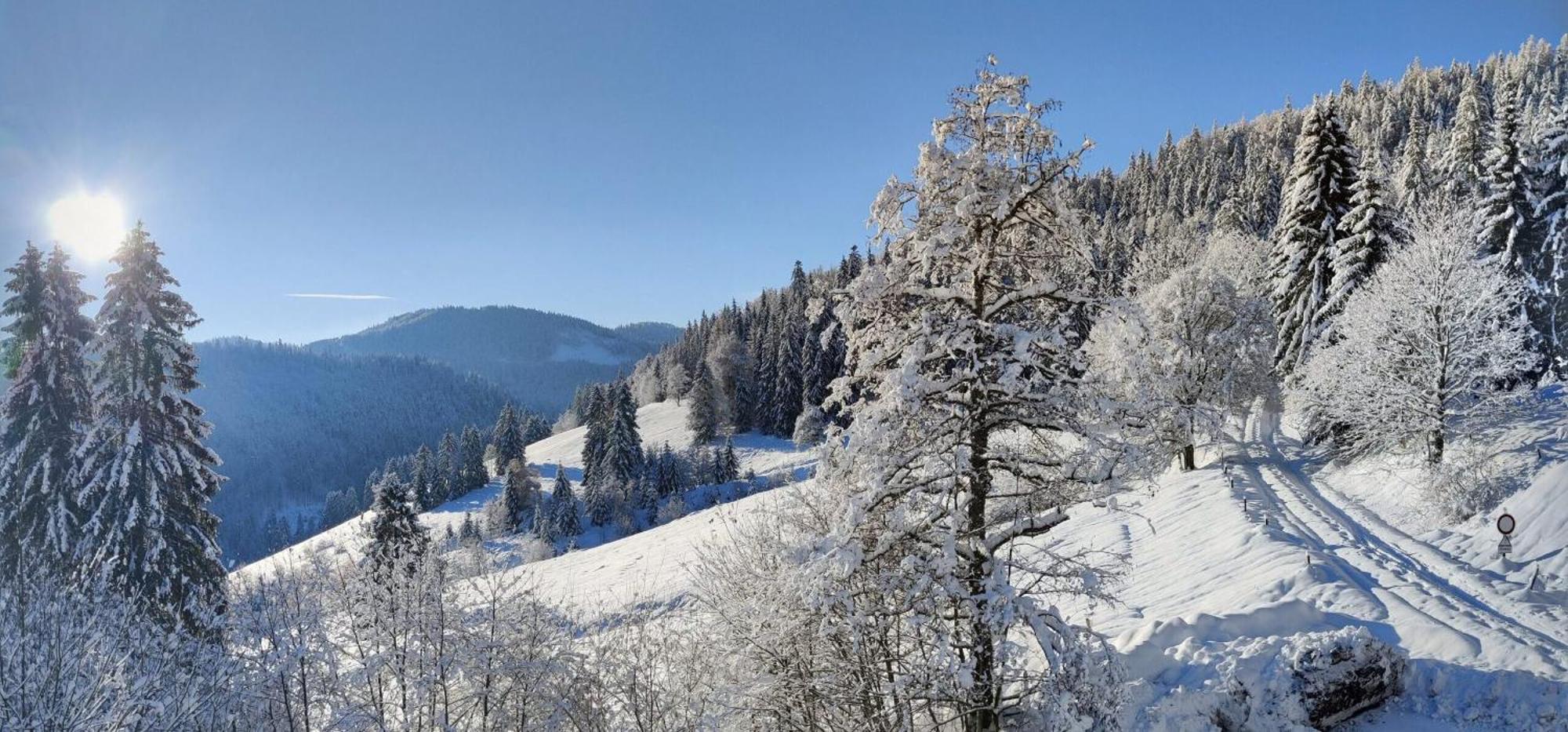 Berggasthaus Prager Boden Тодтнау Екстер'єр фото