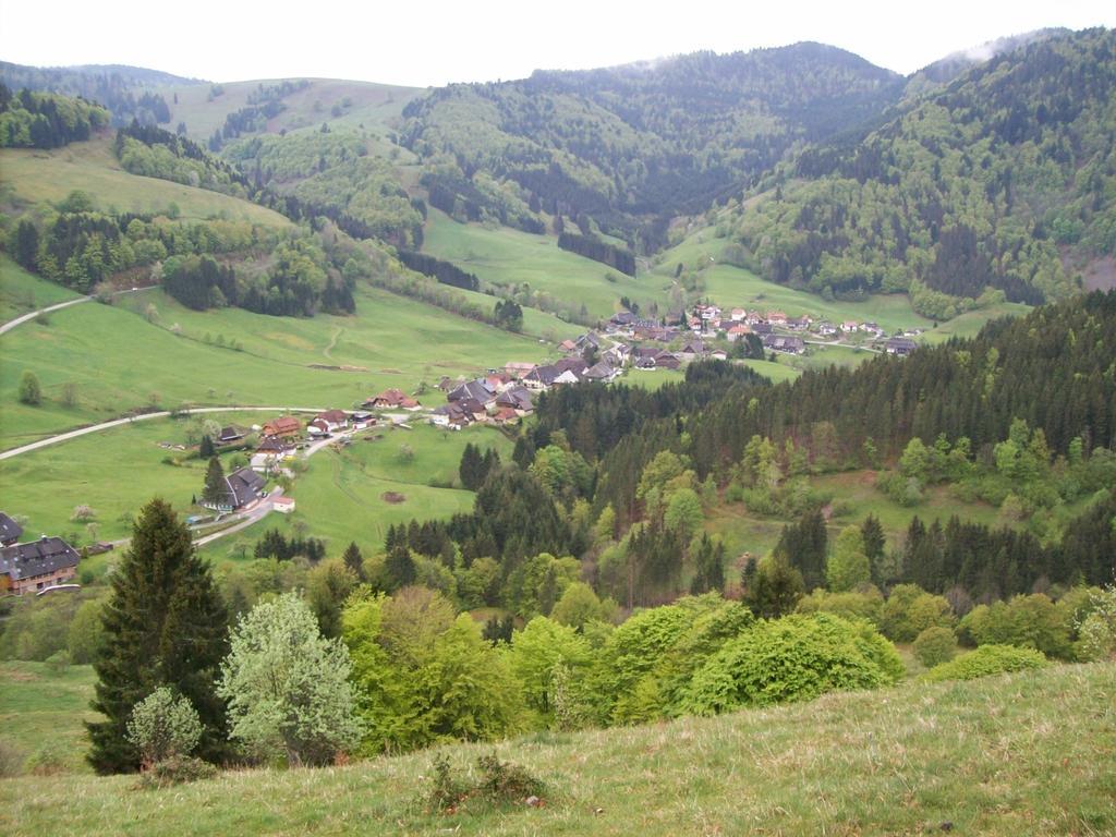 Berggasthaus Prager Boden Тодтнау Екстер'єр фото